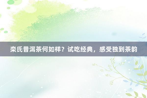 栾氏普洱茶何如样？试吃经典，感受独到茶韵