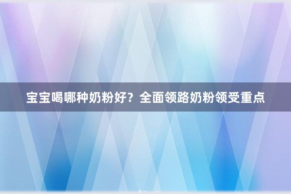 宝宝喝哪种奶粉好？全面领路奶粉领受重点
